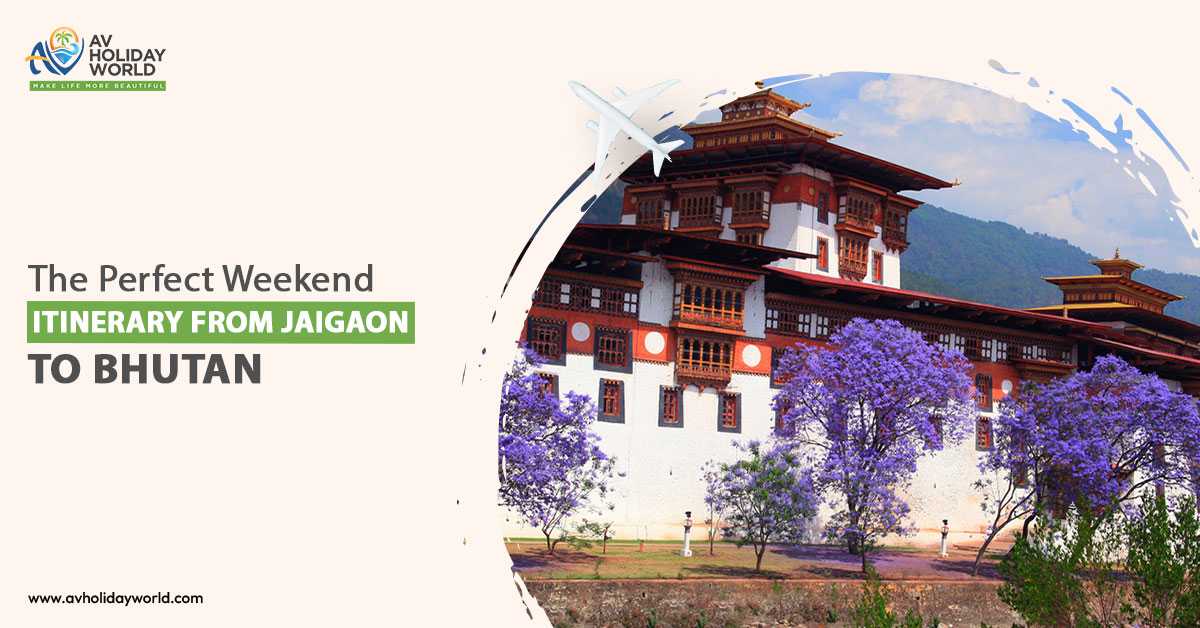 Travel agency in Jaigaon