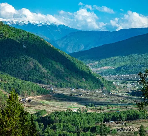 Homestays & Local Experiences