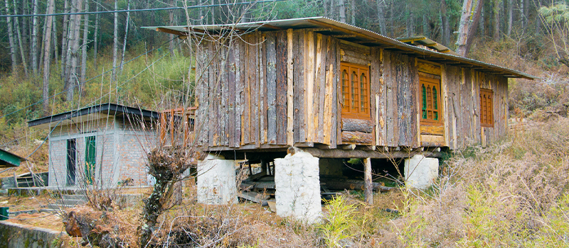 Best Activities in July