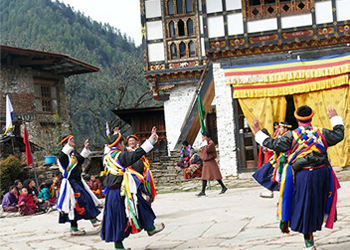 Attend Vibrant Festivals