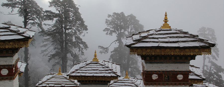 Take advantage of Bhutan's