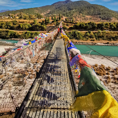 Bridge Tours