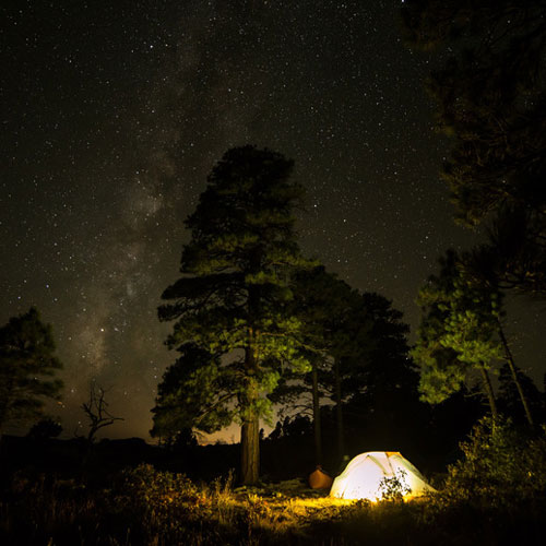 Camping Under the Stars: