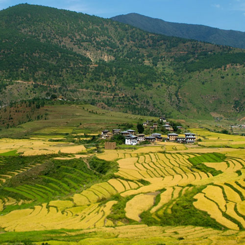 Dochula Pass: