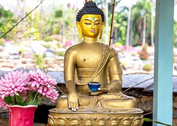 Take Part in Meditation and Well-being