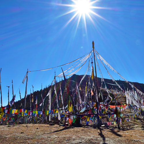 Trek to the stunning Paro Taktsang (Tiger's Nest)