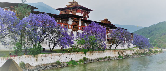 Punakha Dzong