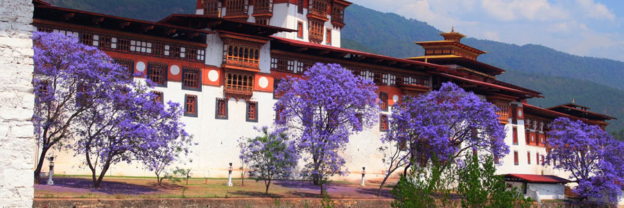 Culture And History Of Bhutan