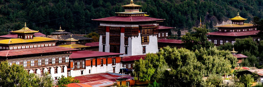 Things to Do With Your Partner