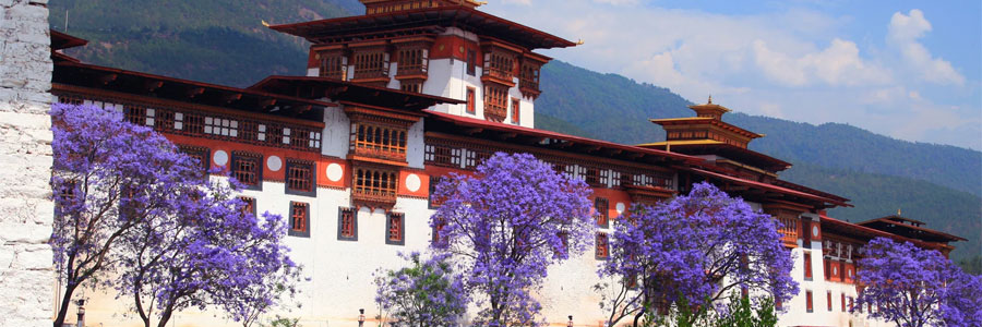 Travelling With Your Partner