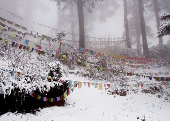 Trekking Adventures