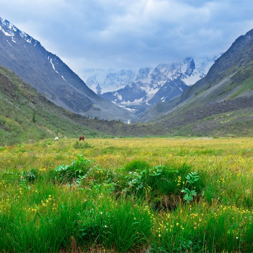 Valley Exploration